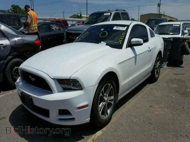 2014 FORD MUSTANG - VIN: 1ZVBP8AM4E5267217 - Фото 2