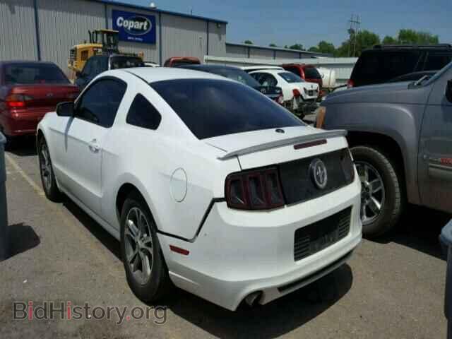 2014 FORD MUSTANG - VIN: 1ZVBP8AM4E5267217 - Фото 3