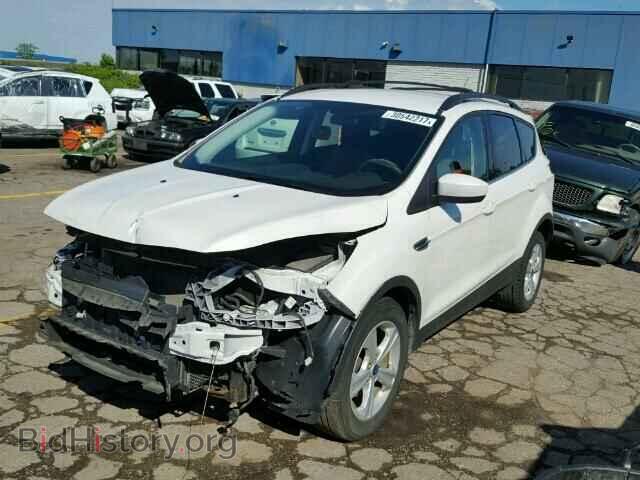 2013 FORD ESCAPE - VIN: 1FMCU0GX4DUA52519 - Photo 2