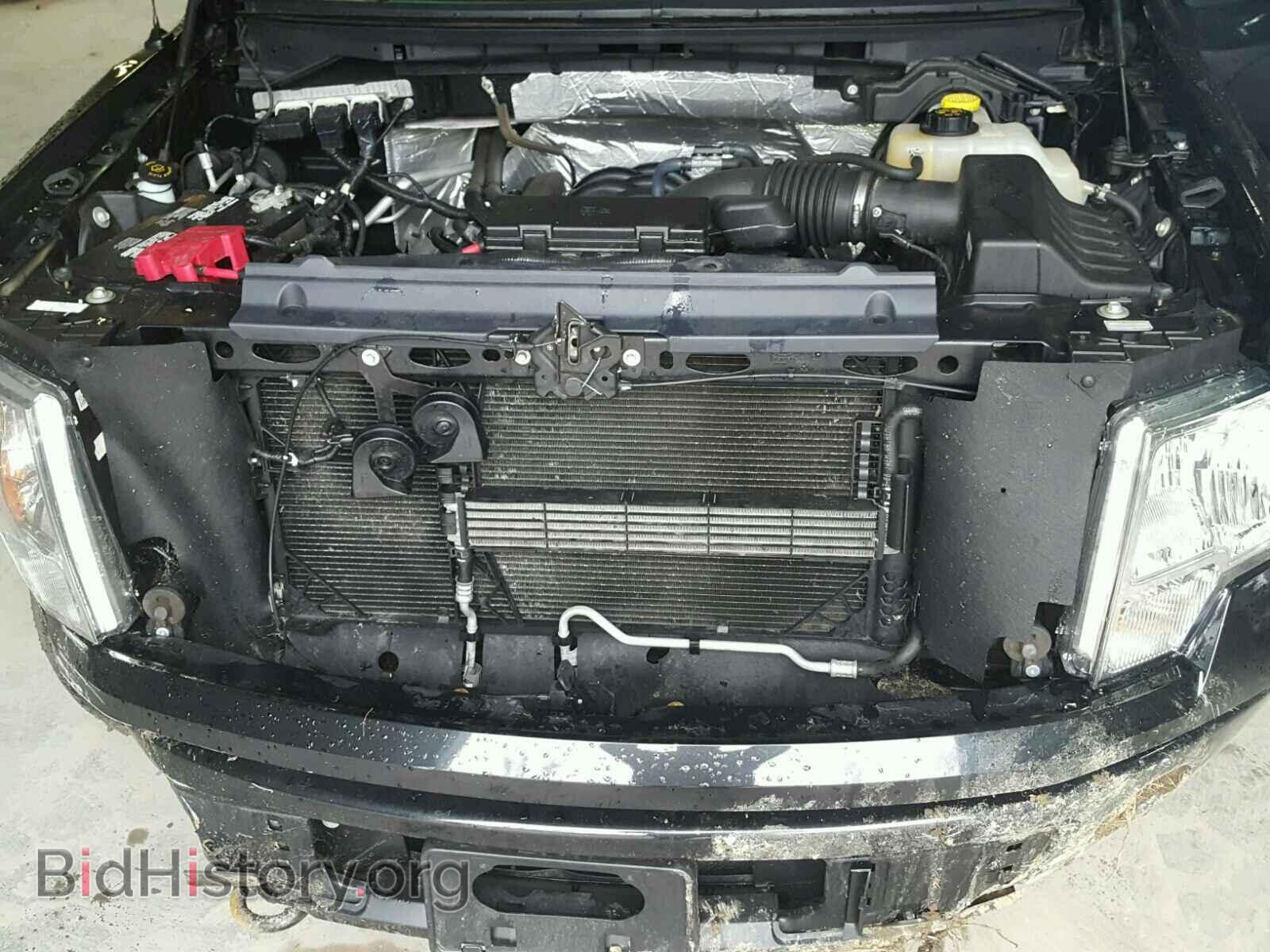 2014 FORD F150 - VIN: 1FTMF1EF7EFA57559 - Фото 7