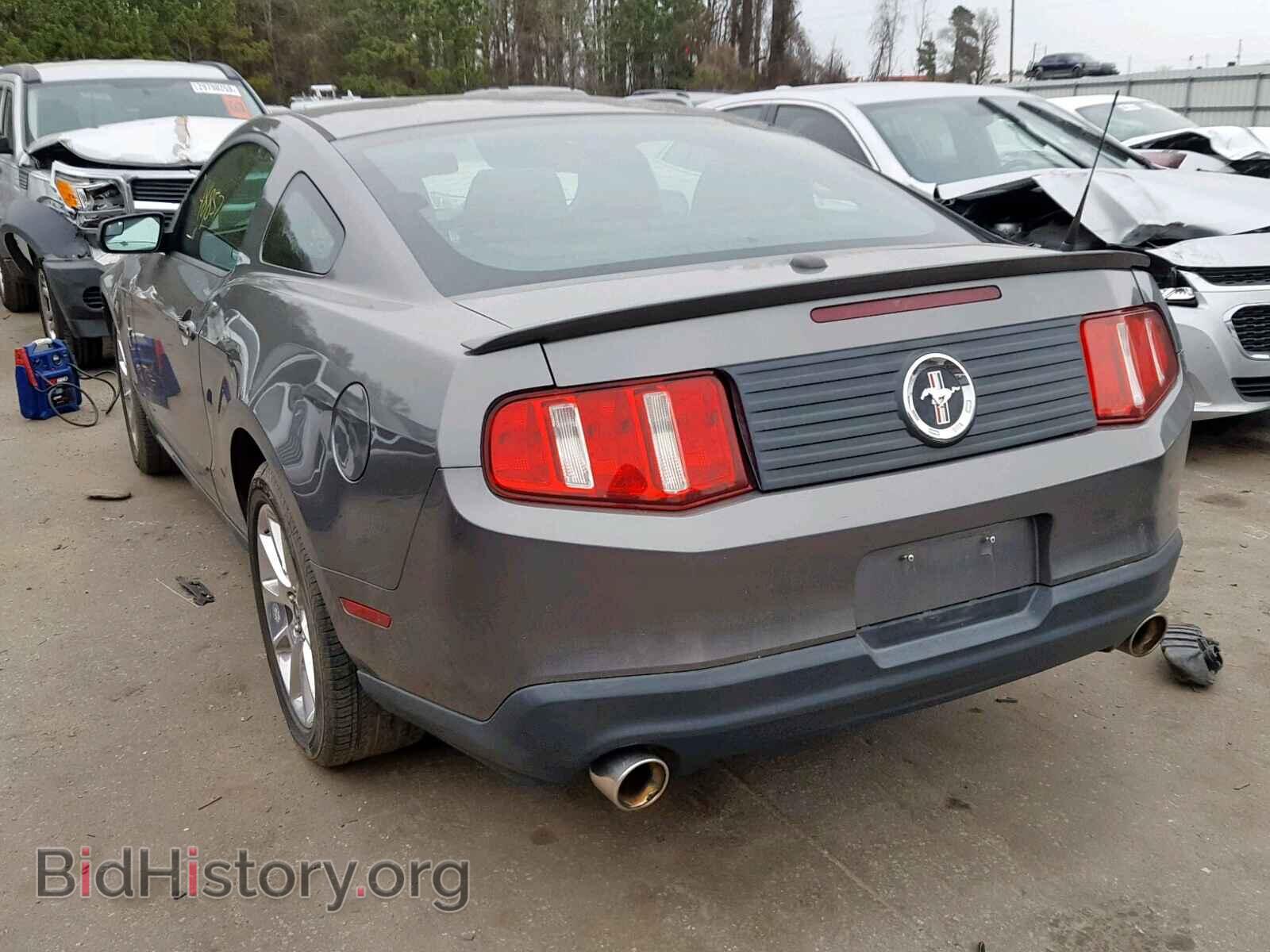 2011 FORD MUSTANG - VIN: 1ZVBP8AM6B5118433 - Фото 3