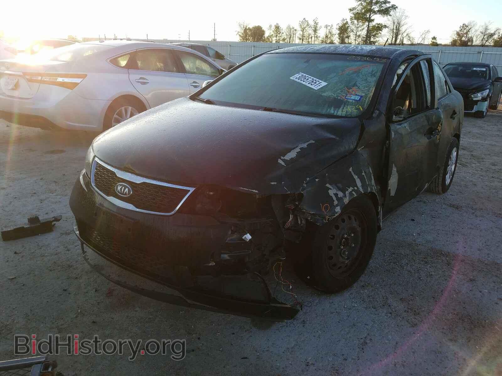 2013 KIA FORTE - VIN: KNAFT4A29D5706429 - Фото 2