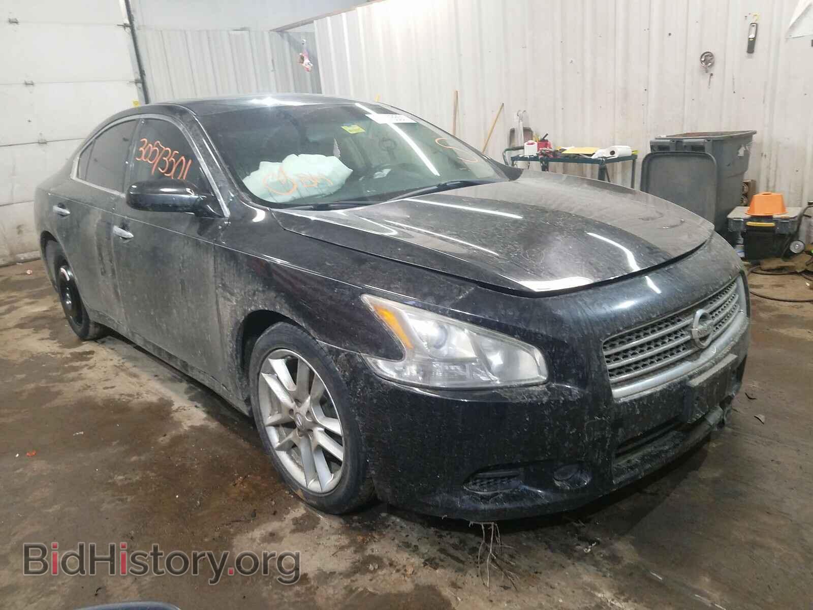 Фотография 1N4AA5AP9BC868502 - NISSAN MAXIMA 2011