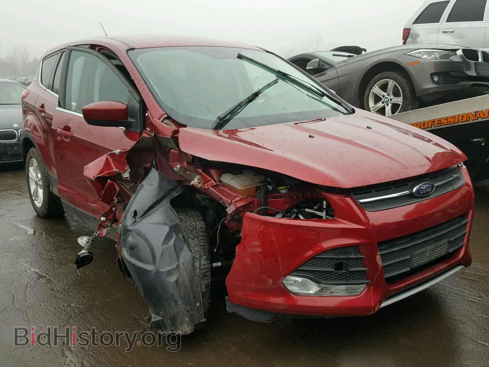 Photo 1FMCU0GX7DUB49570 - FORD ESCAPE 2013