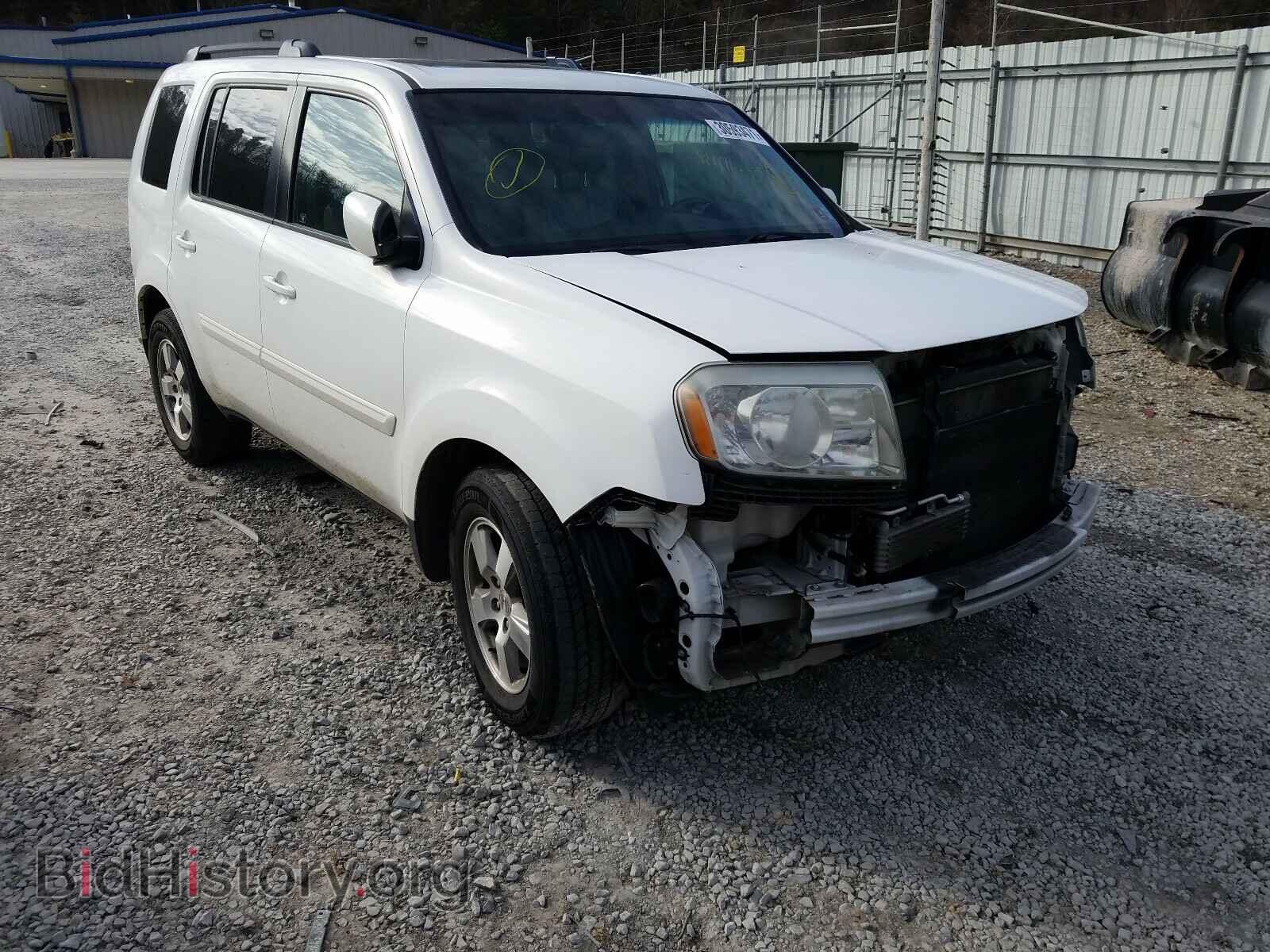 Фотография 5FNYF4H50BB085984 - HONDA PILOT 2011