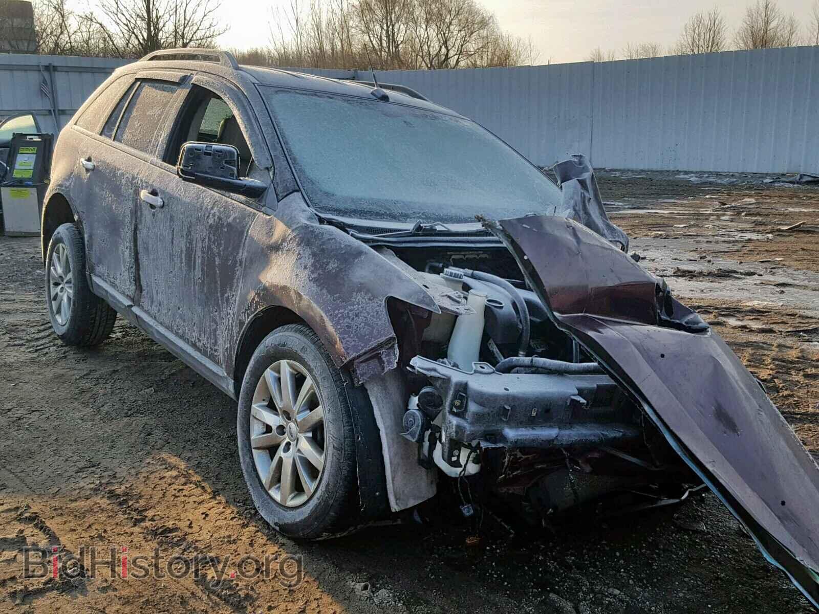 Photo 2FMDK3JC6BBA56348 - FORD EDGE SEL 2011