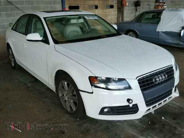 Фотография WAUAFAFL5AN013936 - AUDI A4 2010