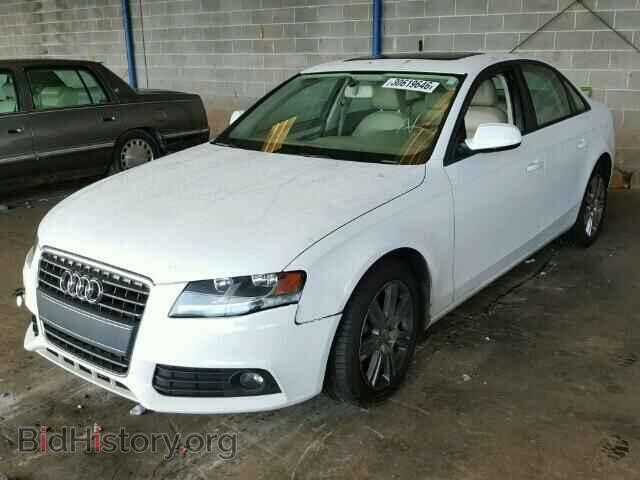 2010 AUDI A4 - VIN: WAUAFAFL5AN013936 - Фото 2
