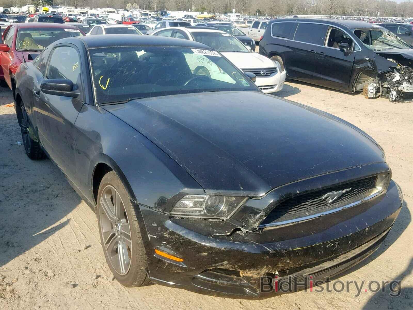 Photo 1ZVBP8AM7D5281742 - FORD MUSTANG 2013
