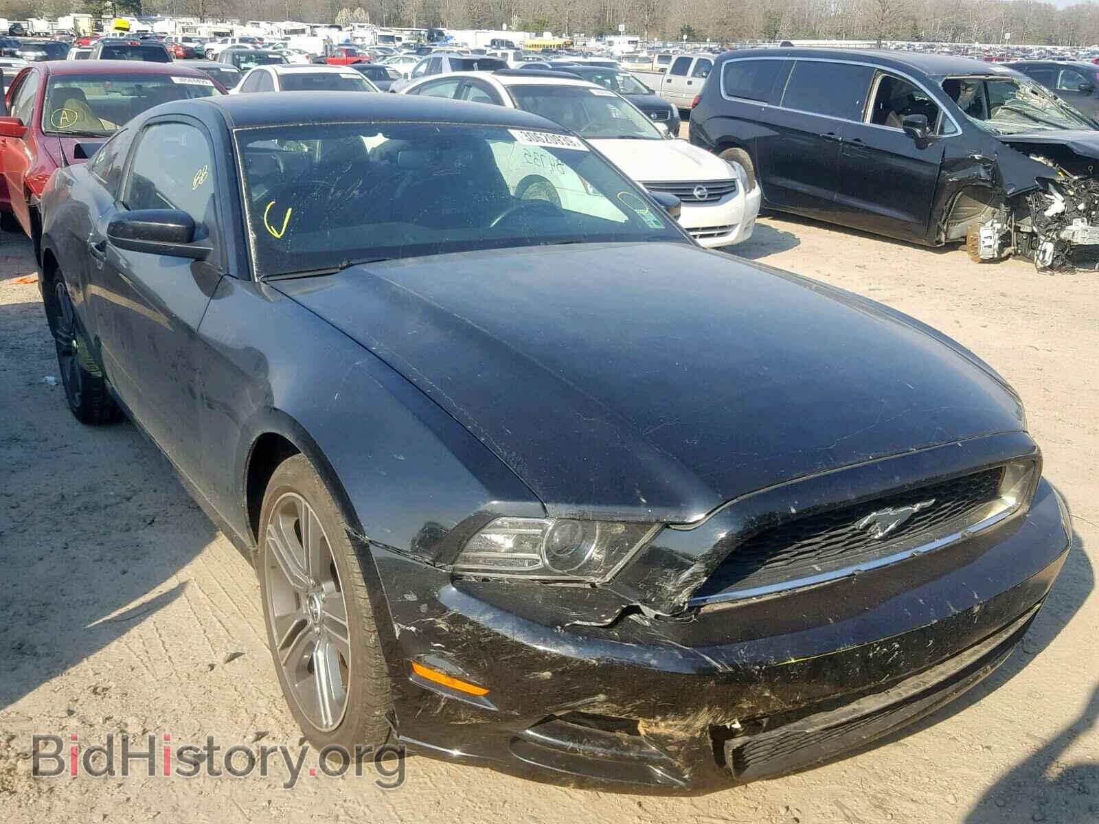 Photo 1ZVBP8AM7D5281742 - FORD MUSTANG 2013