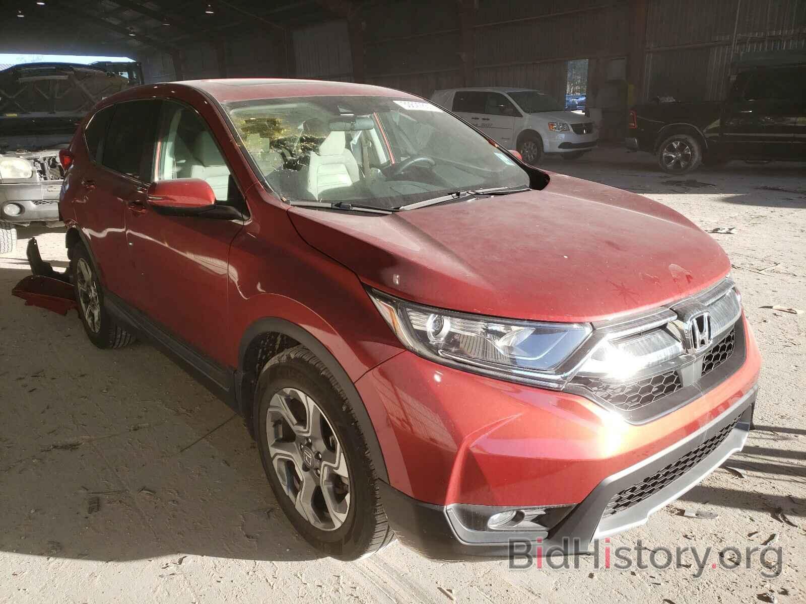 Фотография 5J6RW1H59KL000702 - HONDA CRV 2019