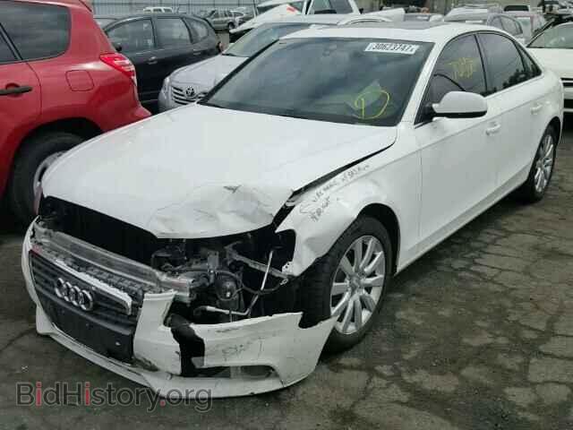 2011 AUDI A4 - VIN: WAUFFAFL3BA113287 - Фото 2