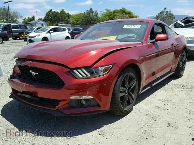 2017 FORD MUSTANG - VIN: 1FA6P8TH2H5241004 - Фото 2