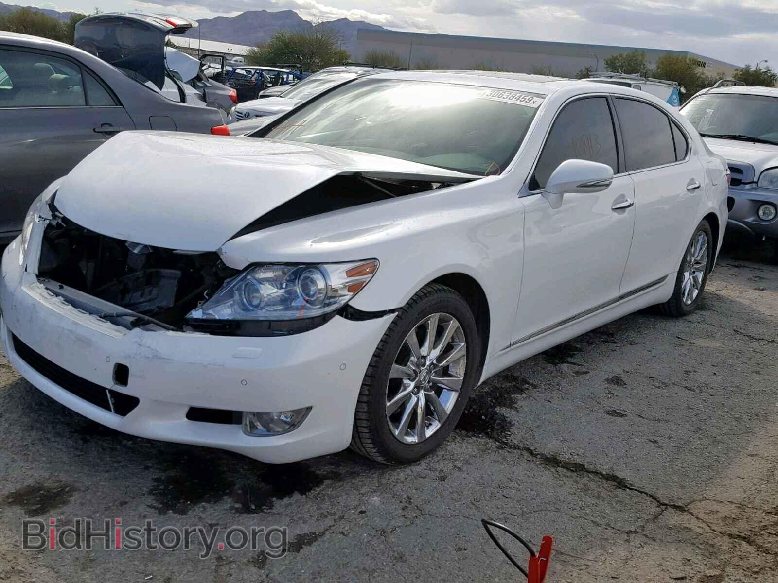 2010 LEXUS LS460 - VIN: JTHGL5EF8A5041561 - Фото 2