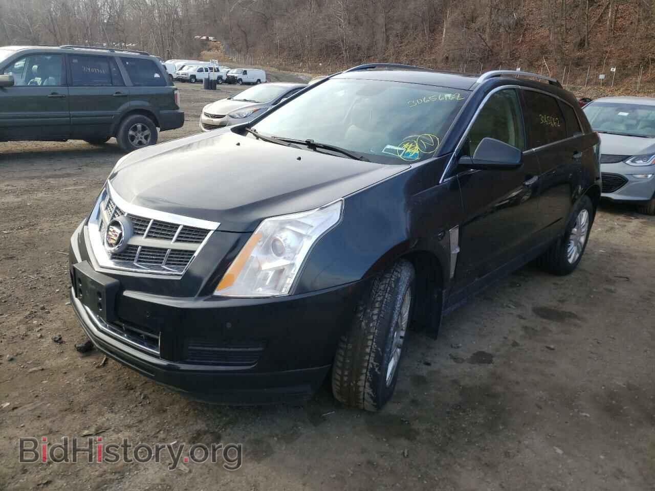 2011 CADILLAC SRX - VIN: 3GYFNDEY7BS678963 - Фото 2