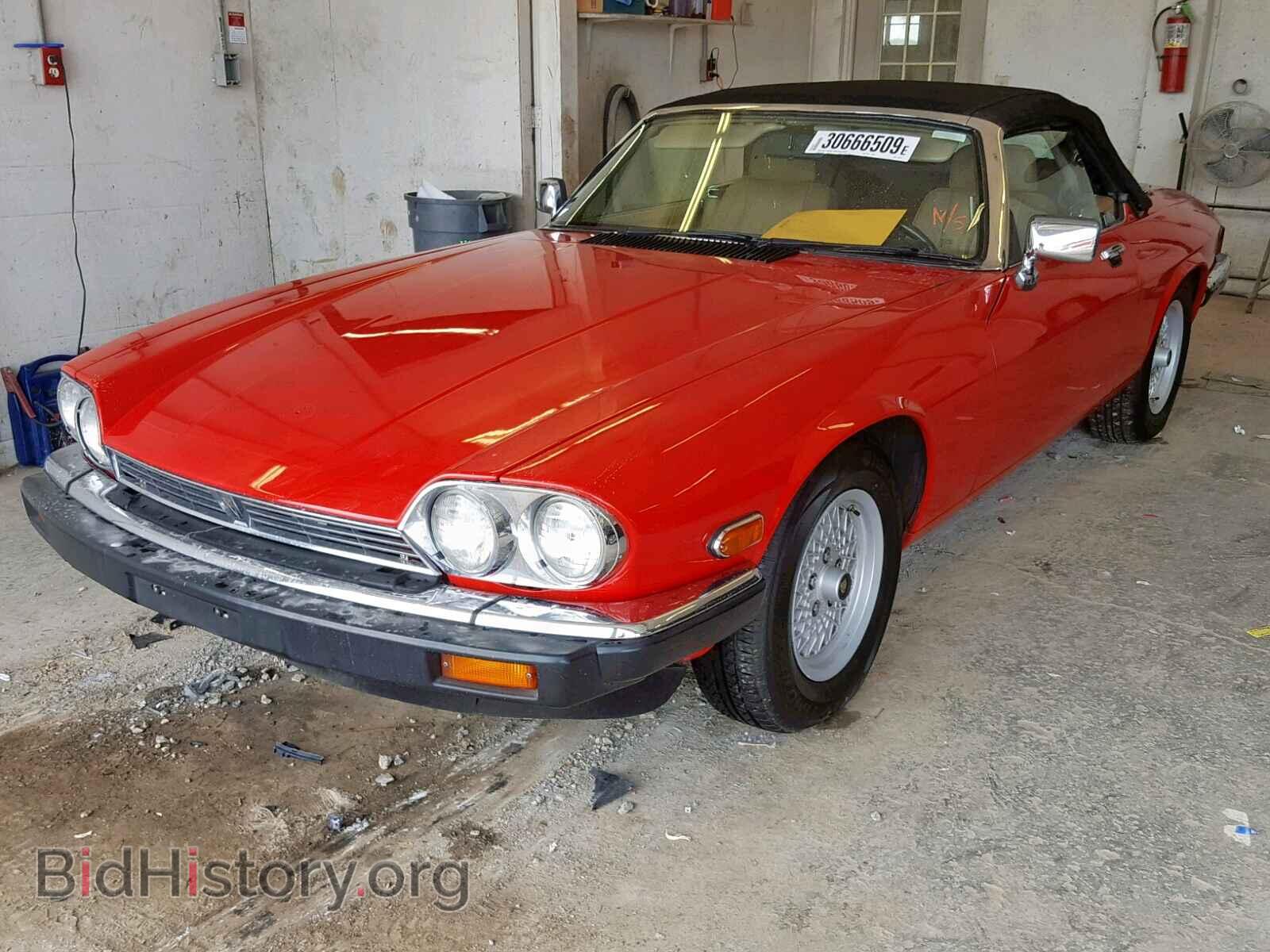 1989 JAGUAR XJS - VIN: SAJNV4842KC152127 - Фото 2