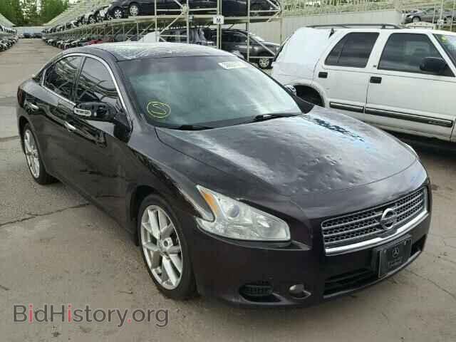Photo 1N4AA5AP5AC812670 - NISSAN MAXIMA 2010