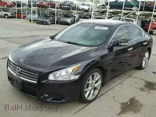 2010 NISSAN MAXIMA - VIN: 1N4AA5AP5AC812670 - Фото 2