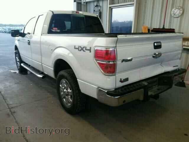 2013 FORD F150 - VIN: 1FTFX1EF6DFB09302 - Фото 3