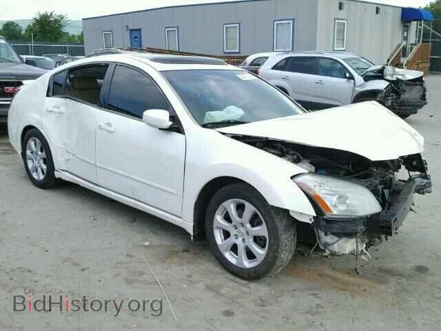 Photo 1N4BA41E98C822528 - NISSAN MAXIMA 2008