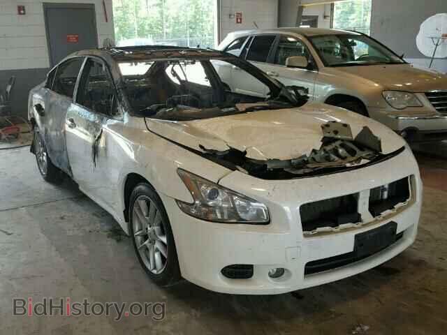 Photo 1N4AA5APXAC846118 - NISSAN MAXIMA 2010