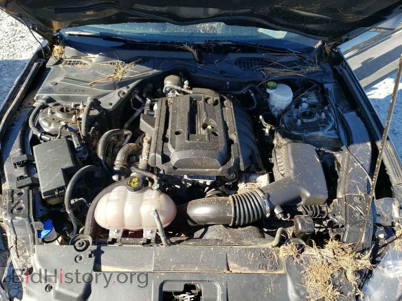 2020 FORD MUSTANG - VIN: 1FA6P8THXL5126479 - Фото 7