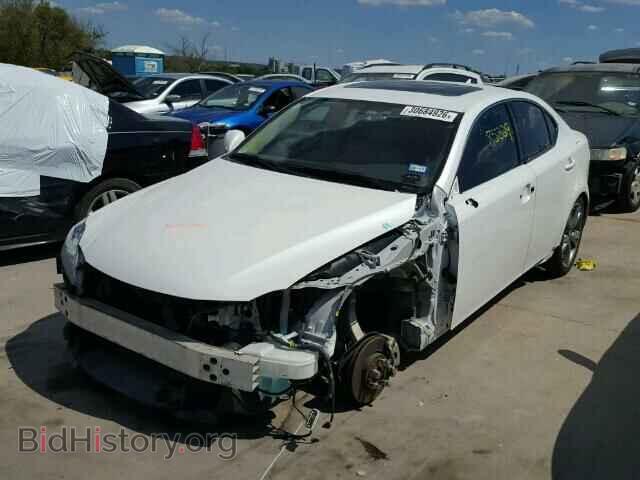 2009 LEXUS IS250 - VIN: JTHBK262395105184 - Фото 2