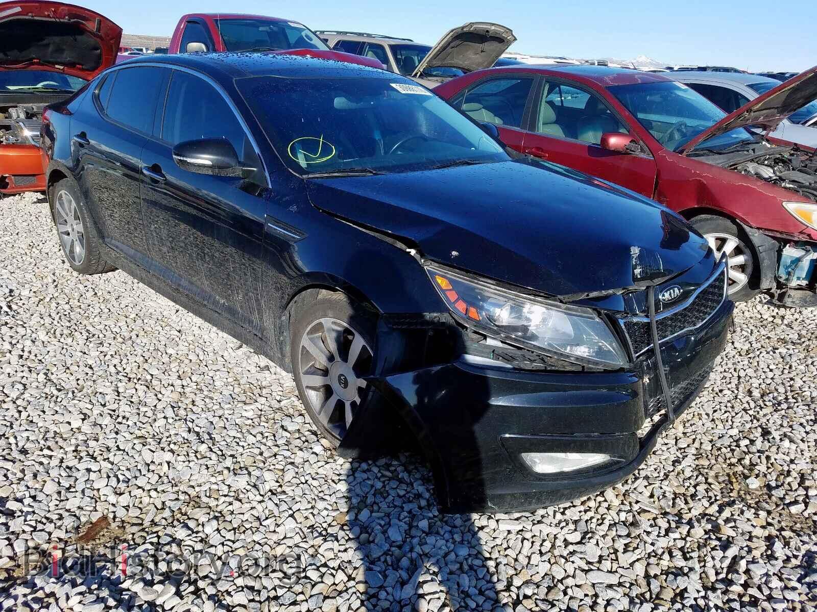 Фотография 5XXGR4A67DG134281 - KIA OPTIMA 2013