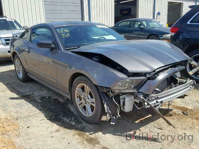 Photo 1ZVBP8AM7E5324610 - FORD MUSTANG 2014