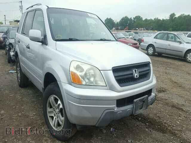 Photo 5FNYF18505B003030 - HONDA PILOT 2005