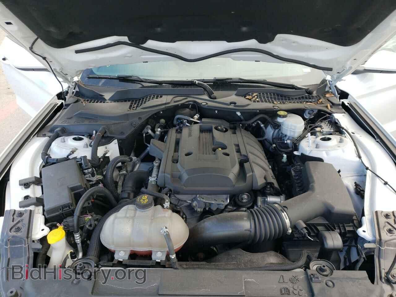 2019 FORD MUSTANG - VIN: 1FA6P8TH1K5138017 - Фото 7