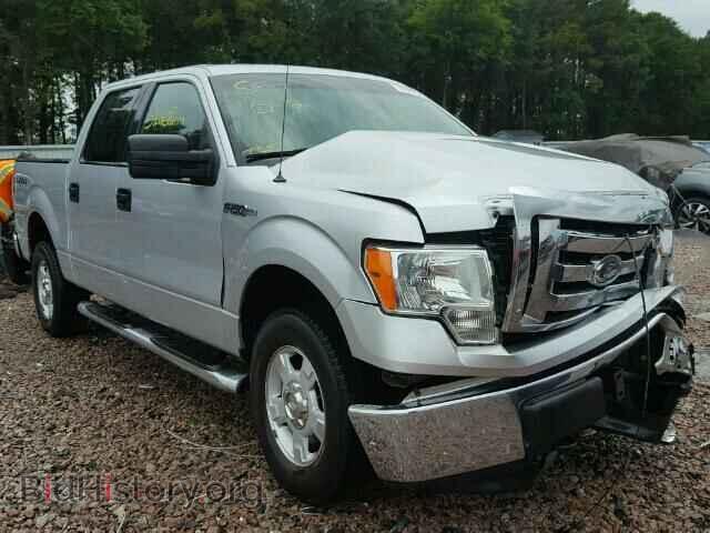 Фотография 1FTEW1E84AKE61037 - FORD F150 2010