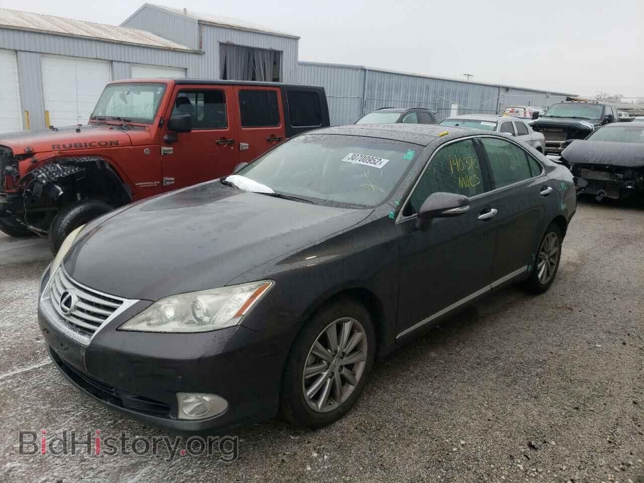 2010 LEXUS ES350 - VIN: JTHBK1EG4A2355384 - Фото 2