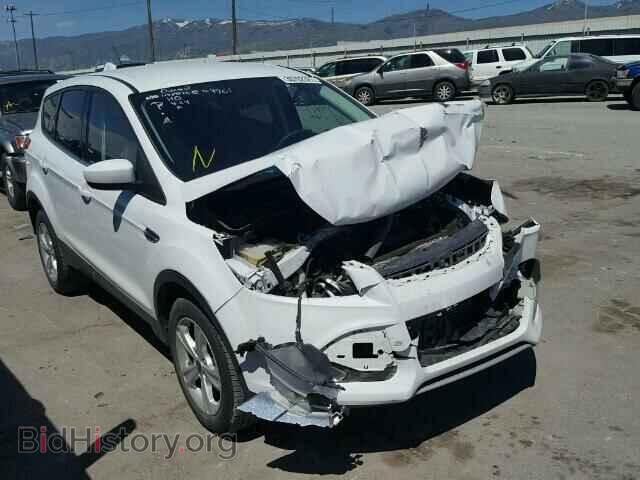 Photo 1FMCU9GX1DUA54815 - FORD ESCAPE 2013