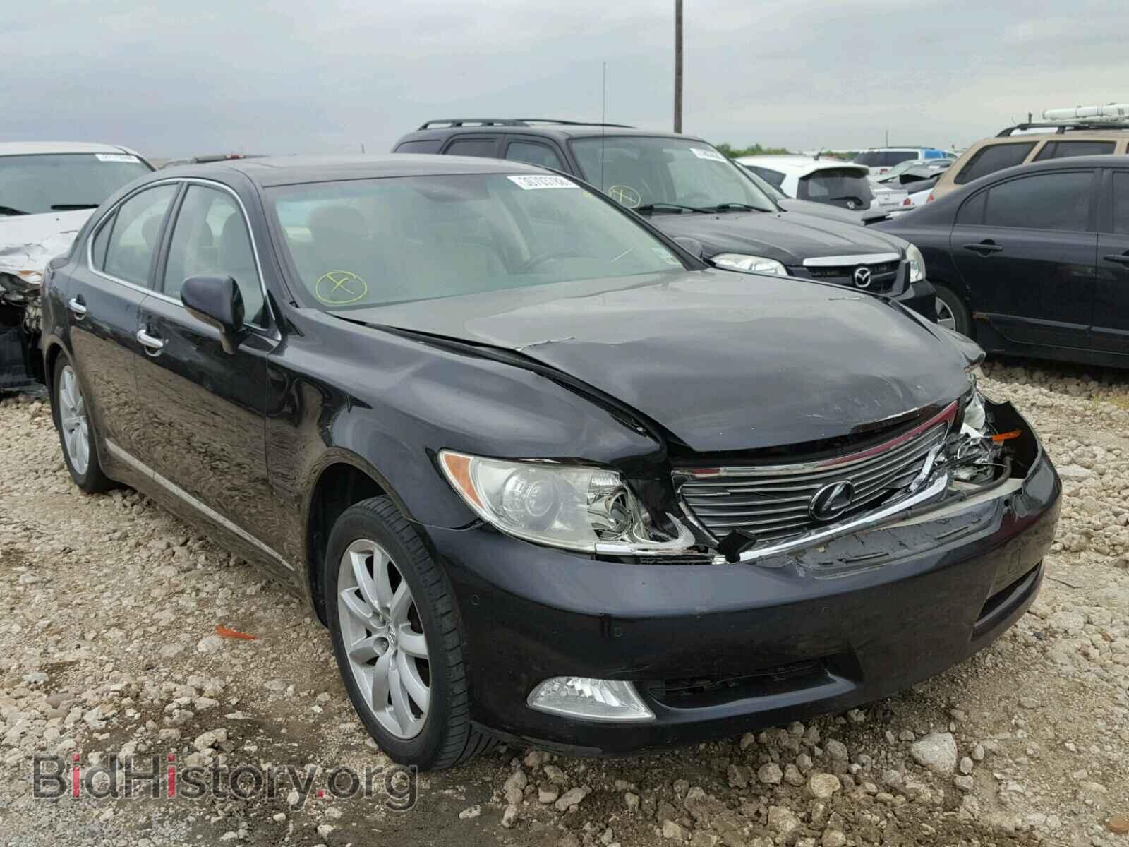 Фотография JTHBL46F685073986 - LEXUS LS460 2008