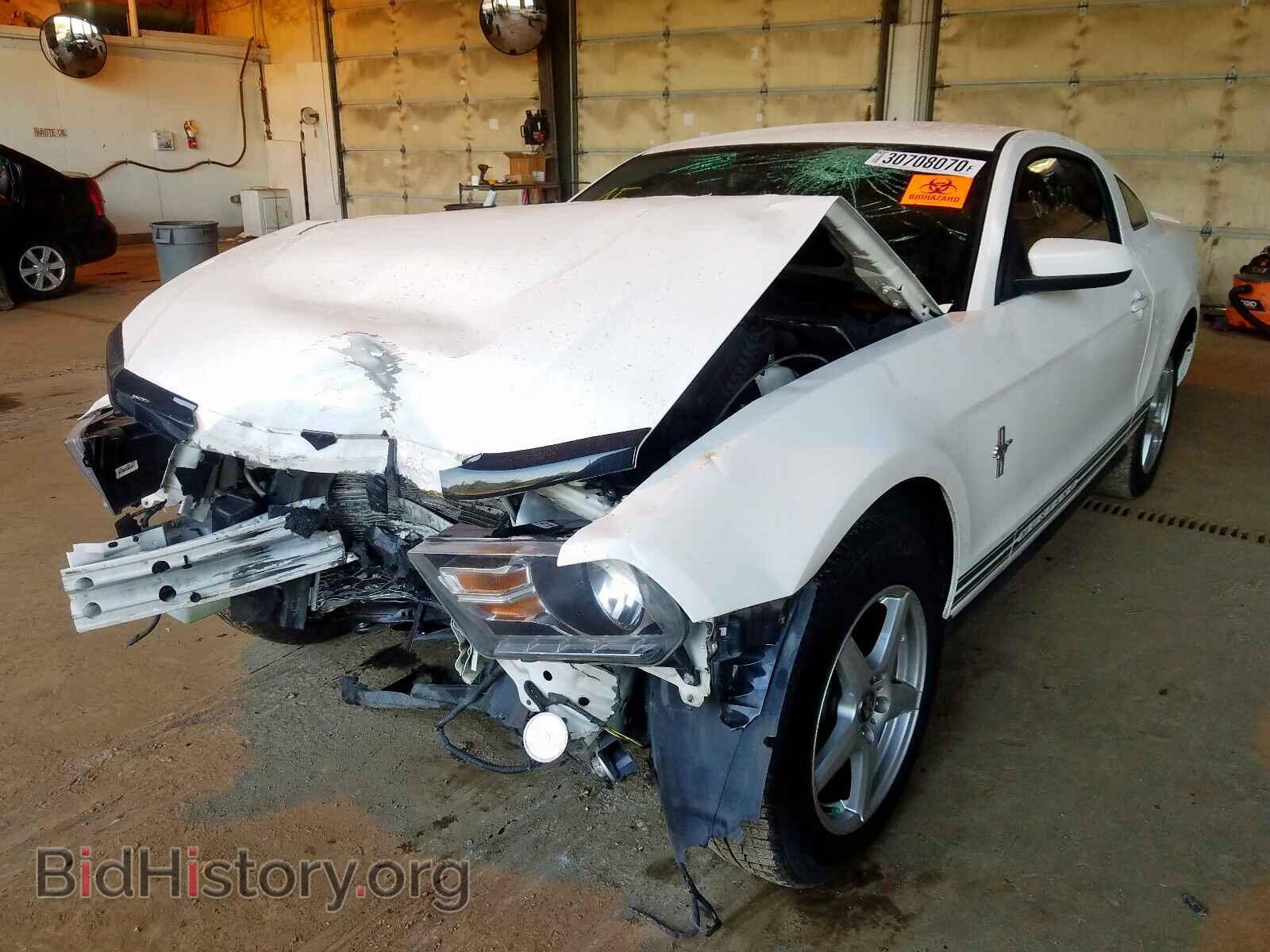 2011 FORD MUSTANG - VIN: 1ZVBP8AM2B5120955 - Фото 2
