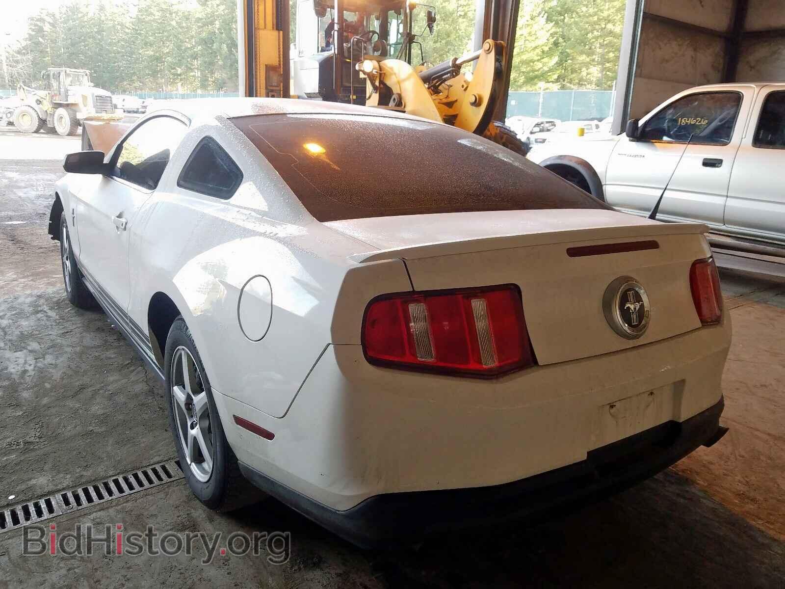2011 FORD MUSTANG - VIN: 1ZVBP8AM2B5120955 - Фото 3