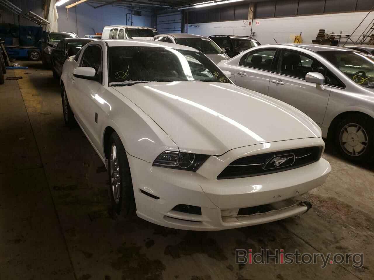 Photo 1ZVBP8AM0D5252423 - FORD MUSTANG 2013