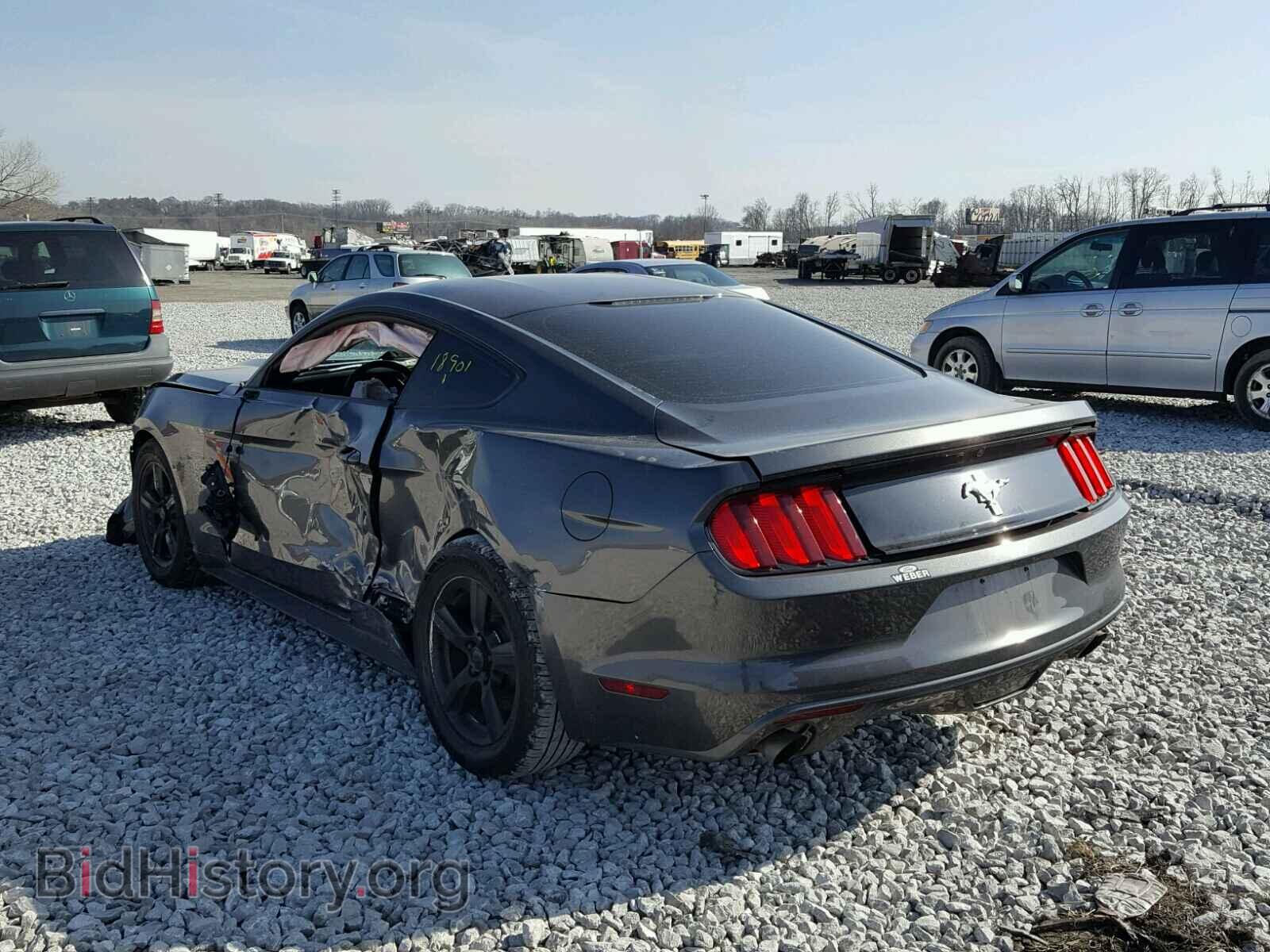 2017 FORD MUSTANG - VIN: 1FA6P8AM1H5344446 - Фото 3