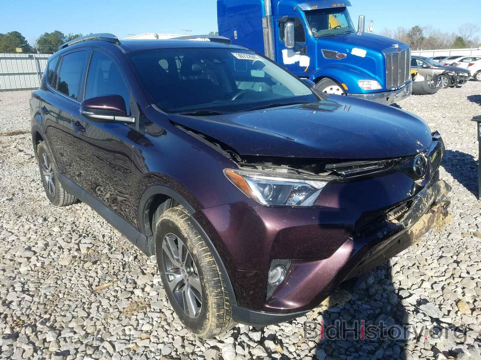 Photo 2T3WFREV0HW326910 - TOYOTA RAV4 2017