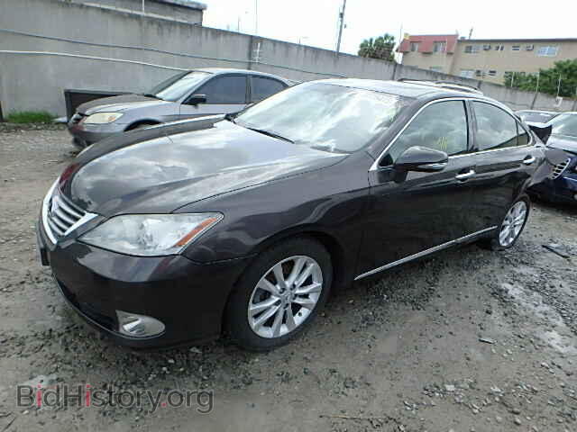 2010 LEXUS ES350 - VIN: JTHBK1EG3A2400671 - Фото 2