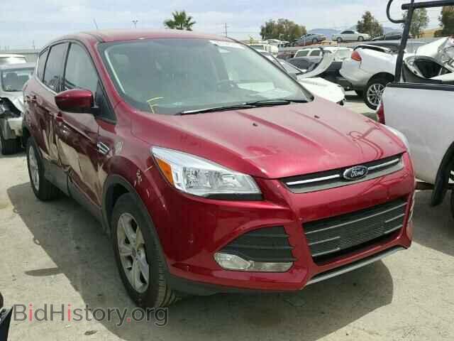 Фотография 1FMCU0GX4EUC45674 - FORD ESCAPE 2014