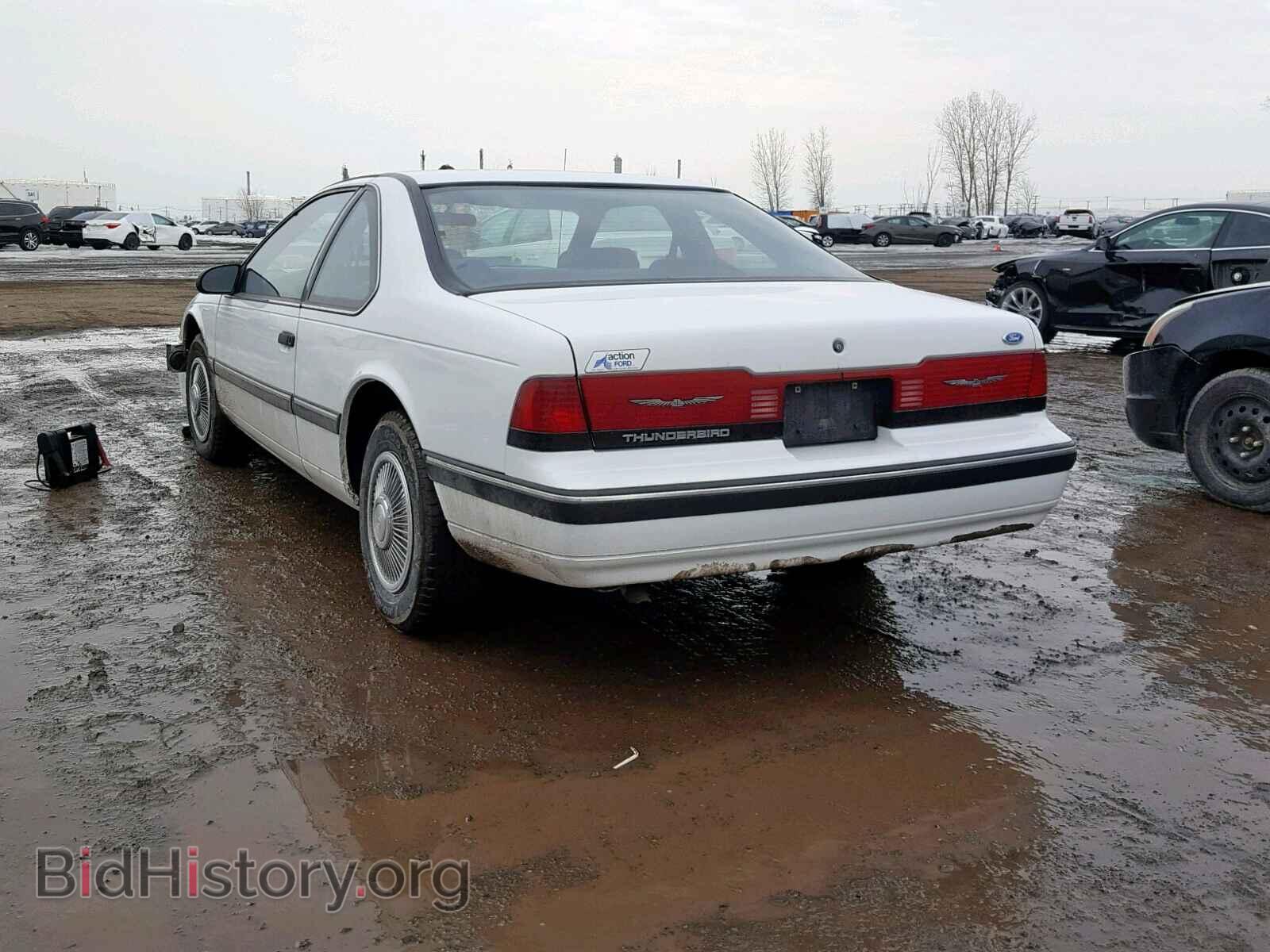 1989 FORD TBIRD - VIN: 1FABP6043KH207230 - Фото 3