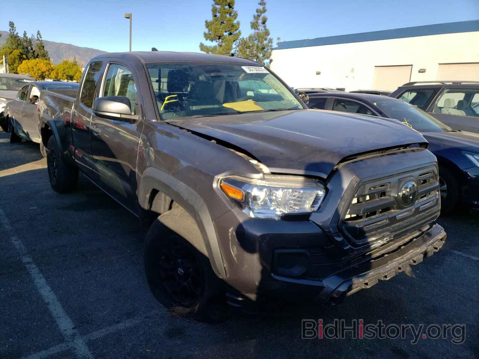 Фотография 5TFRX5GN5KX134904 - TOYOTA TACOMA 2019