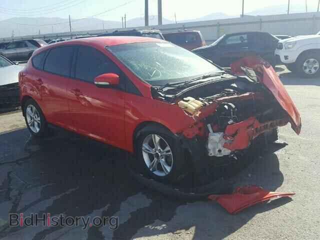 Photo 1FADP3K20DL238065 - FORD FOCUS 2013