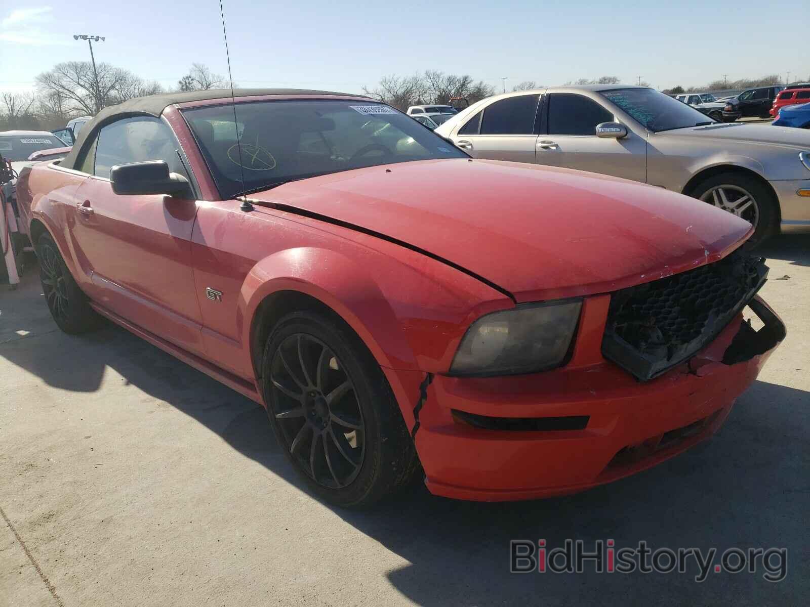 Photo 1ZVHT85H375366424 - FORD MUSTANG 2007