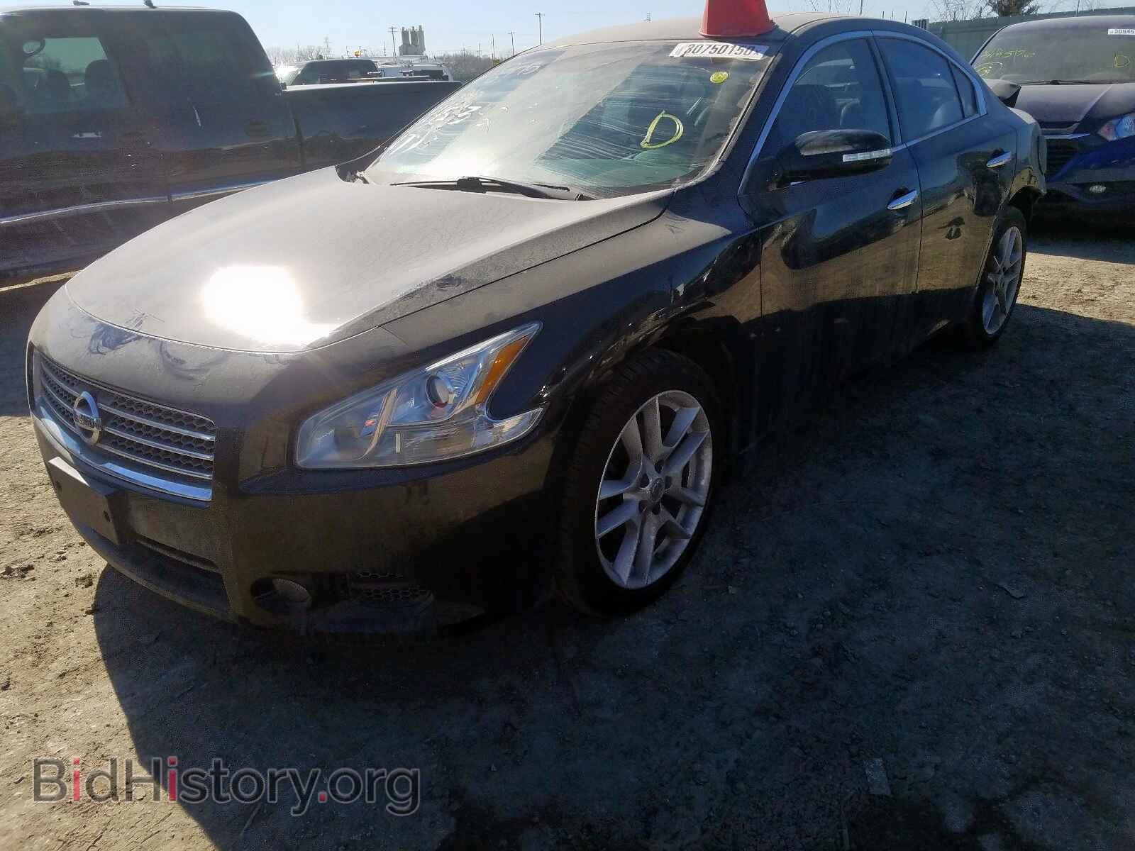 2011 NISSAN MAXIMA - VIN: 1N4AA5AP8BC845342 - Фото 2