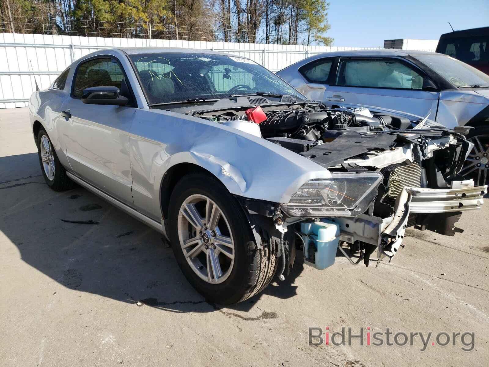 Photo 1ZVBP8AM1E5239830 - FORD MUSTANG 2014