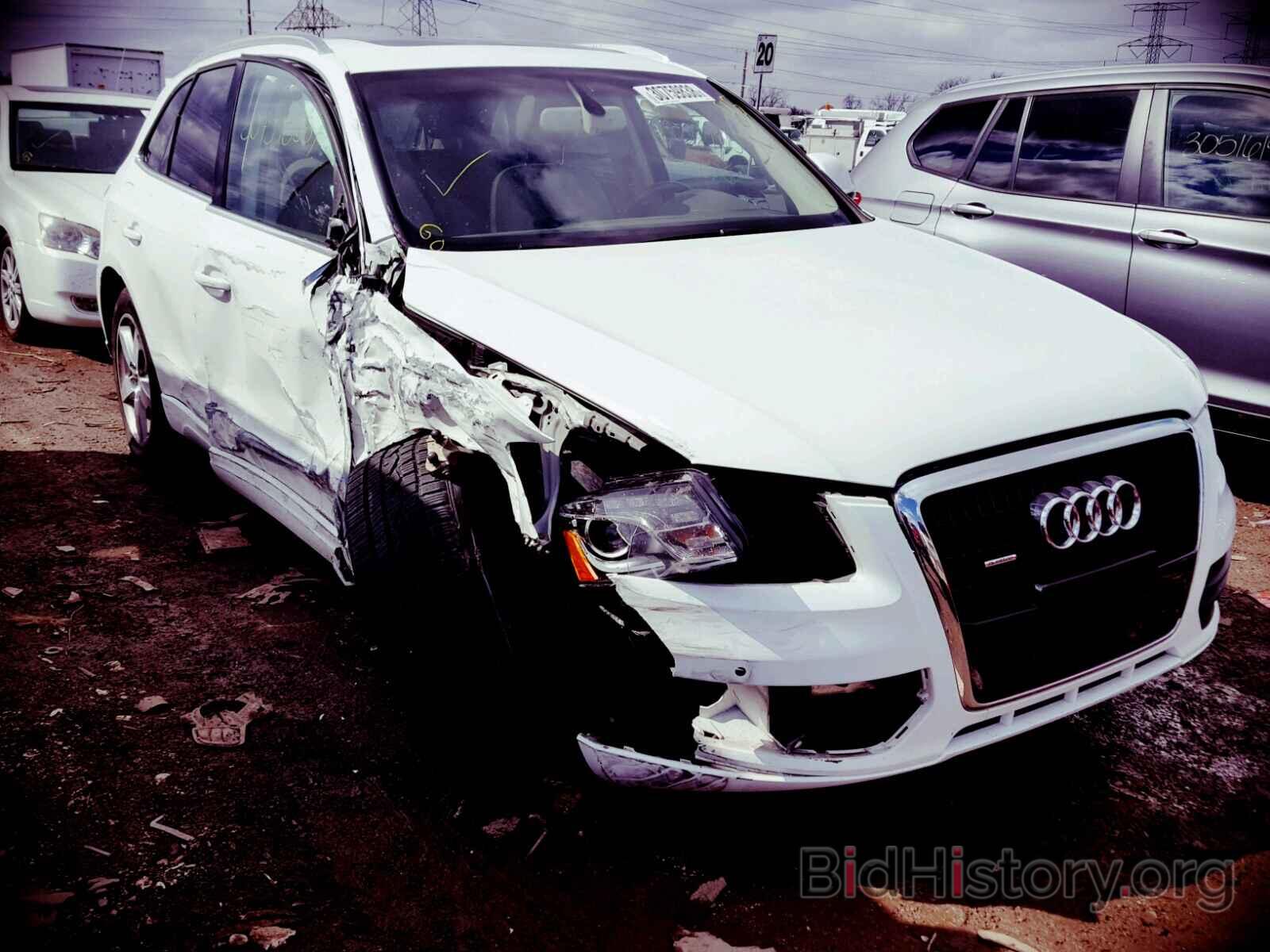 Фотография WA1LKAFP8AA070787 - AUDI Q5 2010