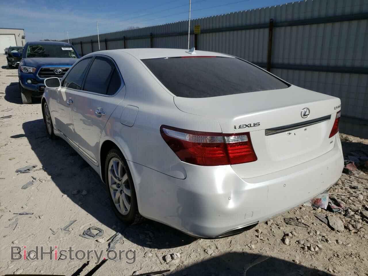 2009 LEXUS LS460 - VIN: JTHCL46F595004437 - Фото 3